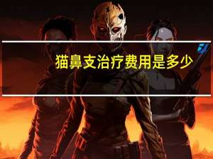 猫鼻支治疗费用是多少