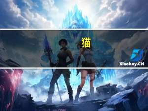 猫（关于猫的介绍）