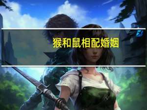 猴和鼠相配婚姻