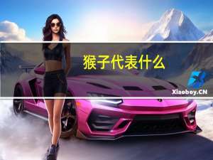 猴子代表什么