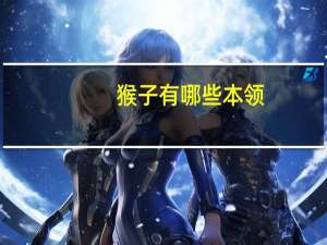 猴子有哪些本领