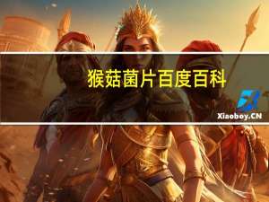 猴菇菌片百度百科（猴菇片简介）