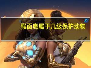猴面鹰属于几级保护动物