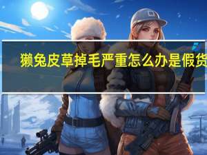 獭兔皮草掉毛严重怎么办是假货吗