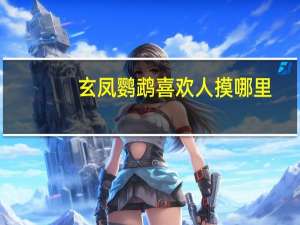 玄凤鹦鹉喜欢人摸哪里