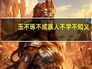玉不琢不成器人不学不知义
