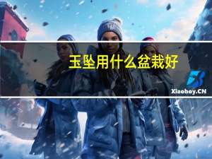 玉坠用什么盆栽好