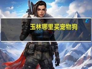 玉林哪里买宠物狗