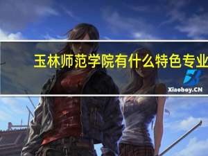 玉林师范学院有什么特色专业，专业排名如何