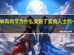 玉林狗肉节为什么受到了爱狗人士的一致反对