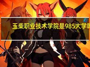 玉柴职业技术学院是985大学吗