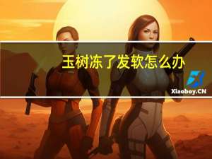玉树冻了发软怎么办