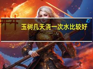 玉树几天浇一次水比较好