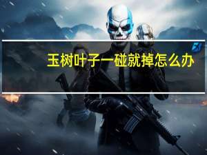 玉树叶子一碰就掉怎么办