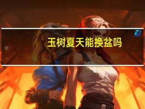 玉树夏天能换盆吗
