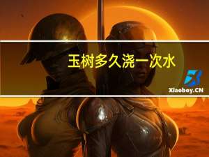 玉树多久浇一次水