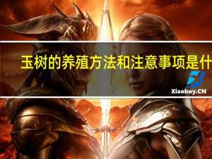 玉树的养殖方法和注意事项是什么？