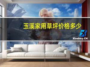 玉溪家用草坪价格多少