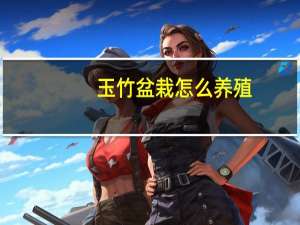 玉竹盆栽怎么养殖