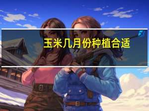 玉米几月份种植合适