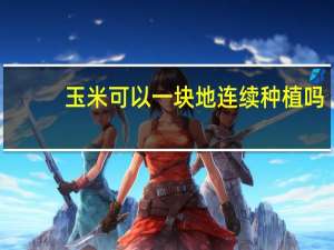 玉米可以一块地连续种植吗
