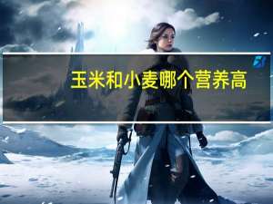 玉米和小麦哪个营养高