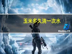 玉米多久浇一次水