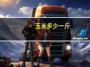 玉米多少一斤