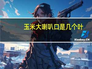玉米大喇叭口是几个叶