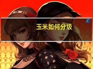 玉米如何分级