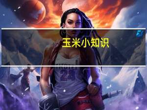 玉米小知识