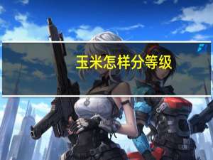 玉米怎样分等级