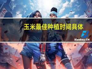 玉米最佳种植时间具体