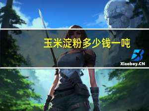 玉米淀粉多少钱一吨