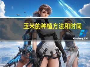玉米的种植方法和时间