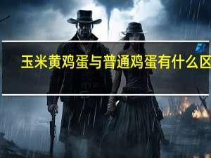玉米黄鸡蛋与普通鸡蛋有什么区别