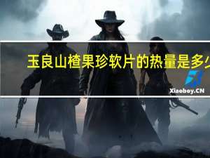 玉良 山楂果珍软片的热量是多少