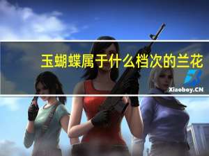 玉蝴蝶属于什么档次的兰花