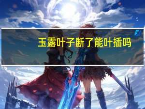 玉露叶子断了能叶插吗