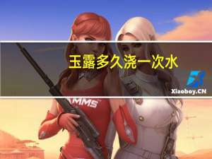 玉露多久浇一次水