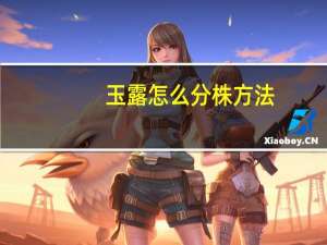 玉露怎么分株方法