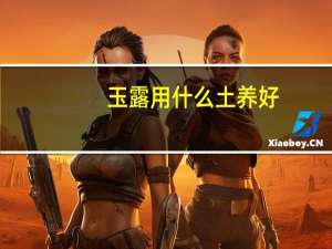 玉露用什么土养好