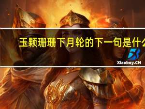 玉颗珊珊下月轮的下一句是什么
