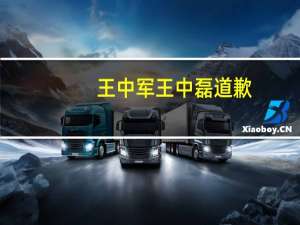 王中军王中磊道歉（王中军王中磊）