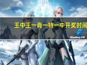 王中王一肖一特一中开奖时间_详细解答解释落实_手机版355.140