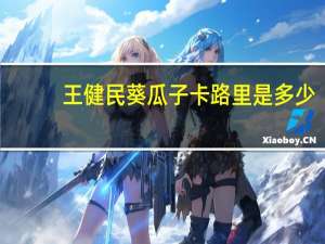 王健民 葵瓜子卡路里是多少