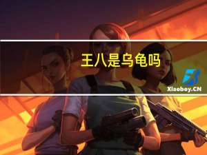 王八是乌龟吗