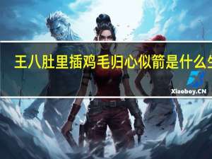 王八肚里插鸡毛归心似箭是什么生肖（归心似箭是什么生肖）