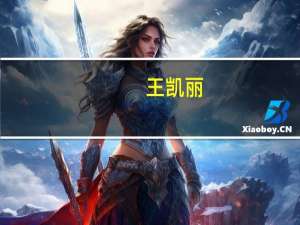 王凯丽-上海丽安文化发展有限公司董事长简介