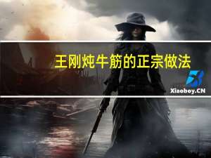 王刚炖牛筋的正宗做法